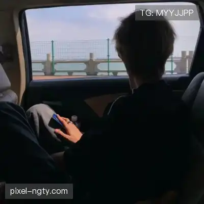 岑举畏